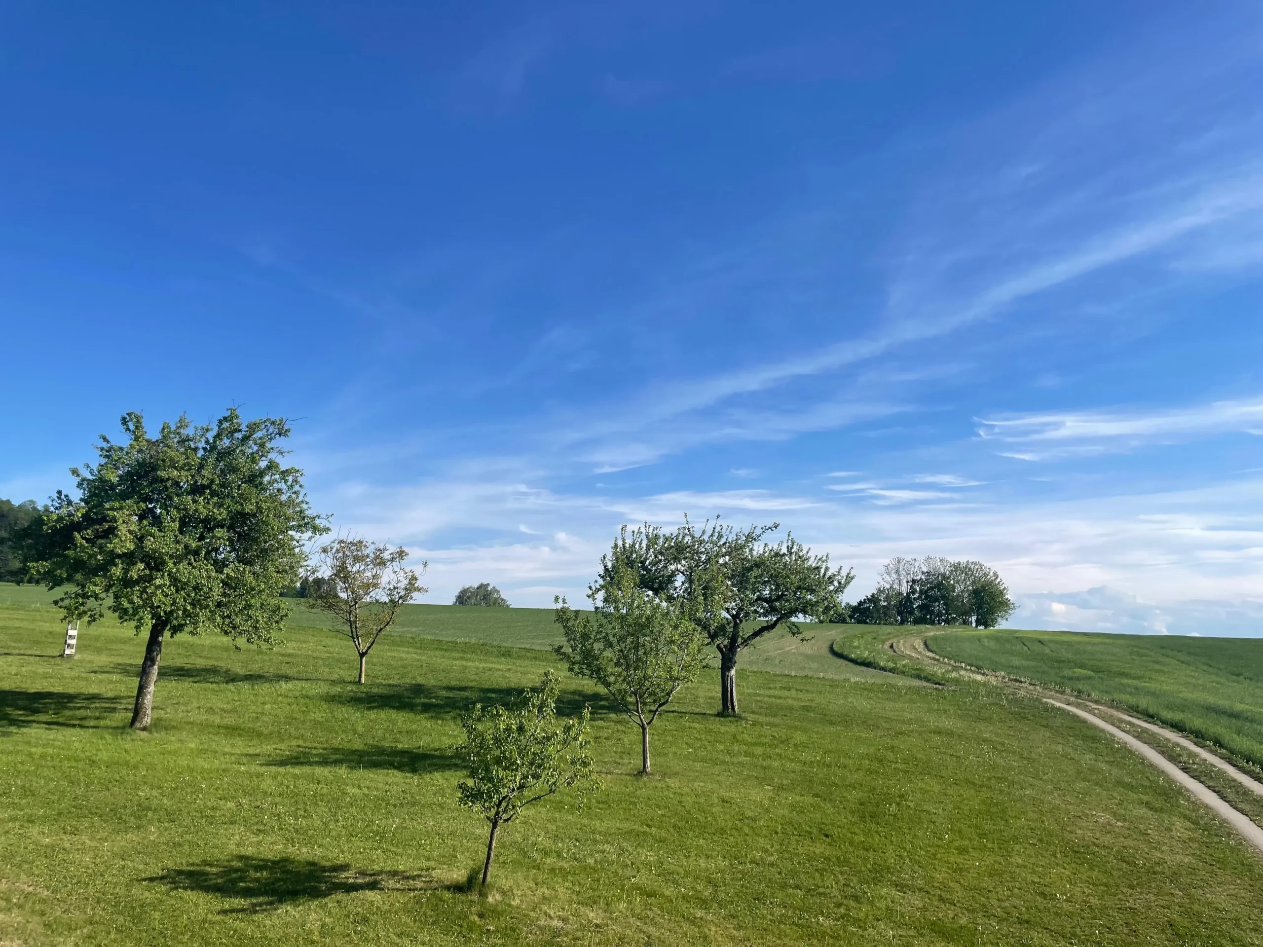 landschaft